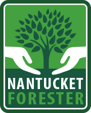 Nantucket Forester